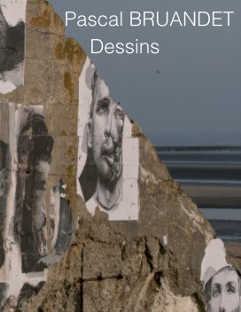 Dessins book cover
