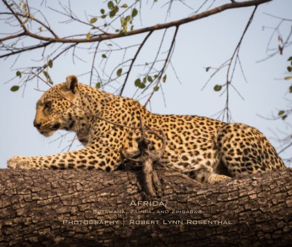 Africa Botswana, Zambia, and Zimbabwe book cover