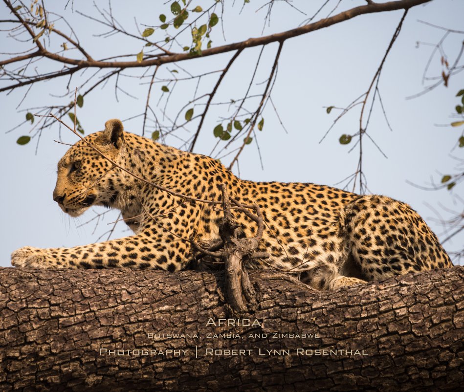 Africa Botswana, Zambia, and Zimbabwe nach Robert Lynn Rosenthal anzeigen