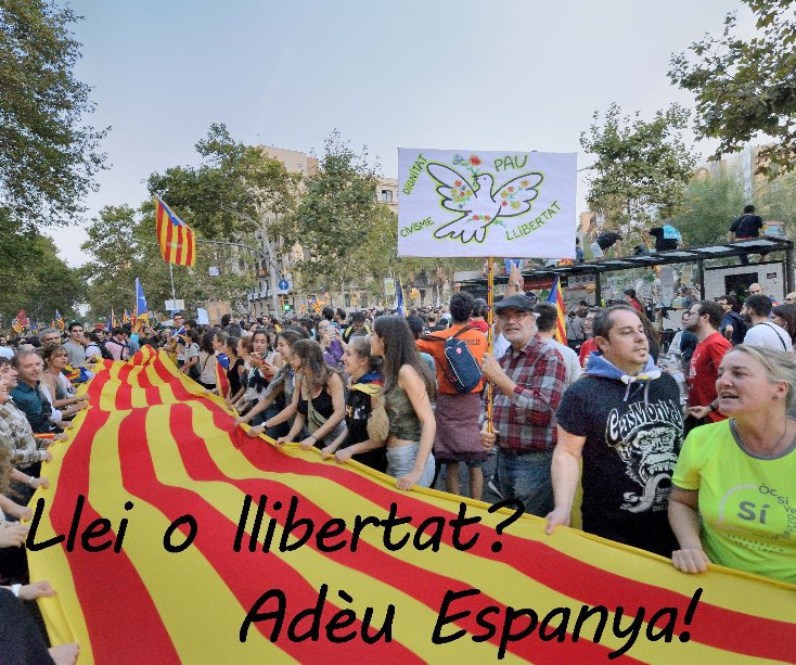 Visualizza Llei o llibertat? di Jordi Adrogué