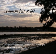 common bits of life book cover