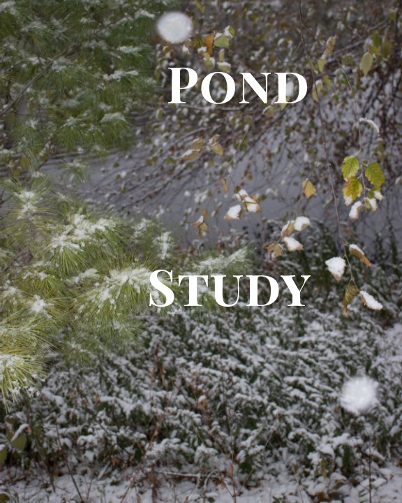 Visualizza Pond Study di Mac Jones