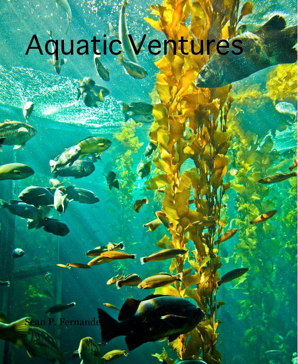 View Aquatic Ventures by Sean P. Fernandes