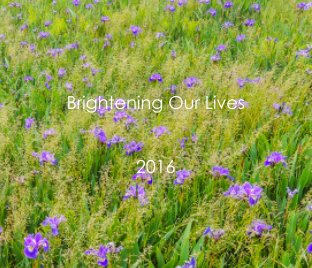 Brightening Our Lives 2016 book cover