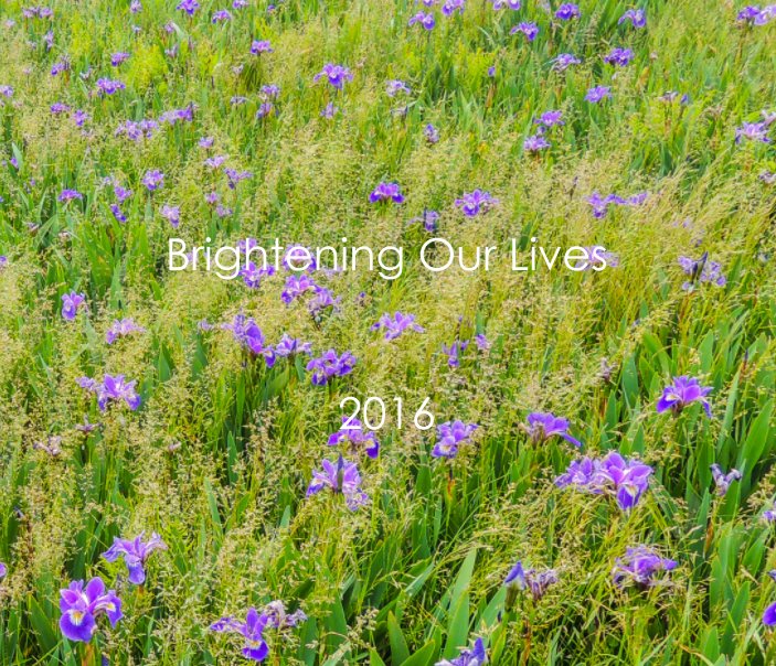 View Brightening Our Lives 2016 by Joe Campana, Linda Lamarche