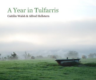 A Year in Tulfarris book cover