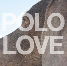 POLO LOVE book cover