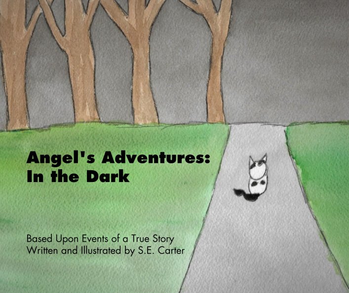 View Angel's Adventures: In the Dark by Based Upon Events of a True Story Written and Illustrated by S.E. Carter