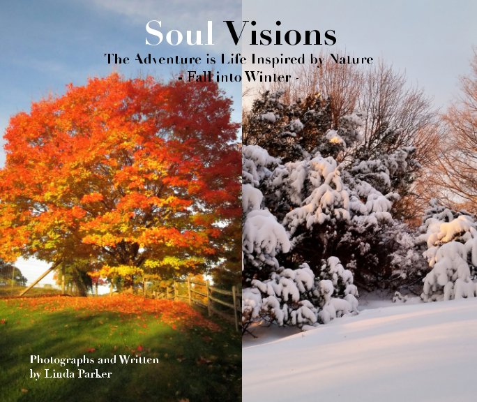 View Soul Visions by Linda Parker