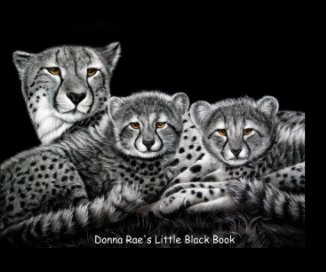 Donna Rae's Little Black Book book cover