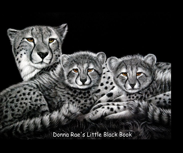 View Donna Rae's Little Black Book by Donna Rae