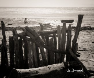 driftwood book cover