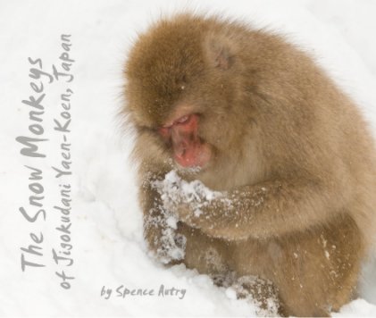 The Snow Monkeys of Jigokudani Yaen-Koen, Japan book cover