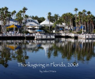 Thanksgiving in Florida, 2008 book cover