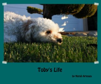 Toby's Life book cover