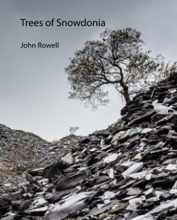 Trees of Snowdonia book cover