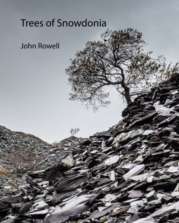 View Trees of Snowdonia by John Rowell