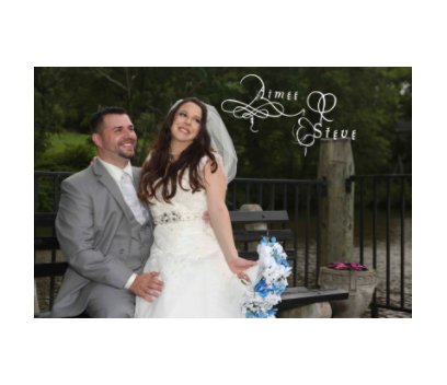 Aimee and  Steve The Wedding book cover