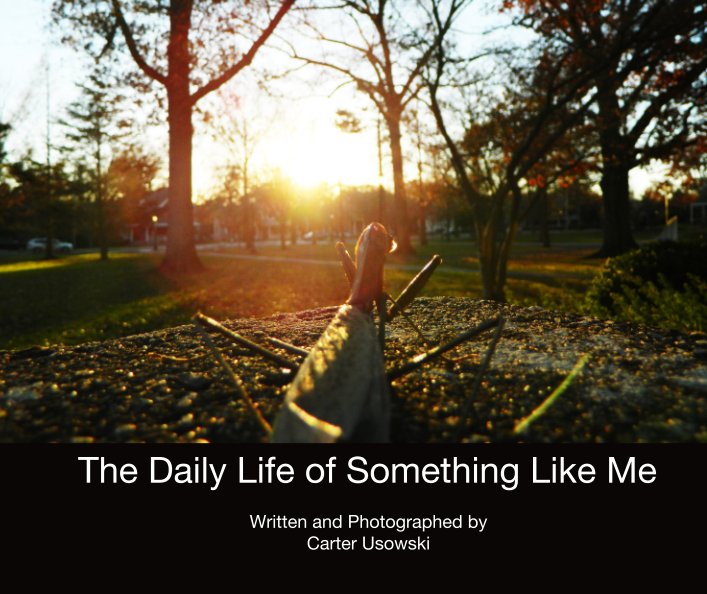 View The Daily Life of Something Like Me by Carter Usowski
