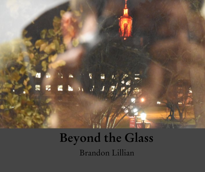 Visualizza Beyond the Glass di Brandon Lillian