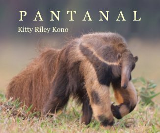 P A N T A N A L book cover