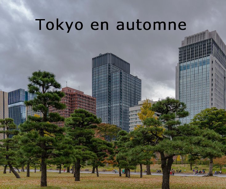 View Tokyo en automne by Jean-François Baron
