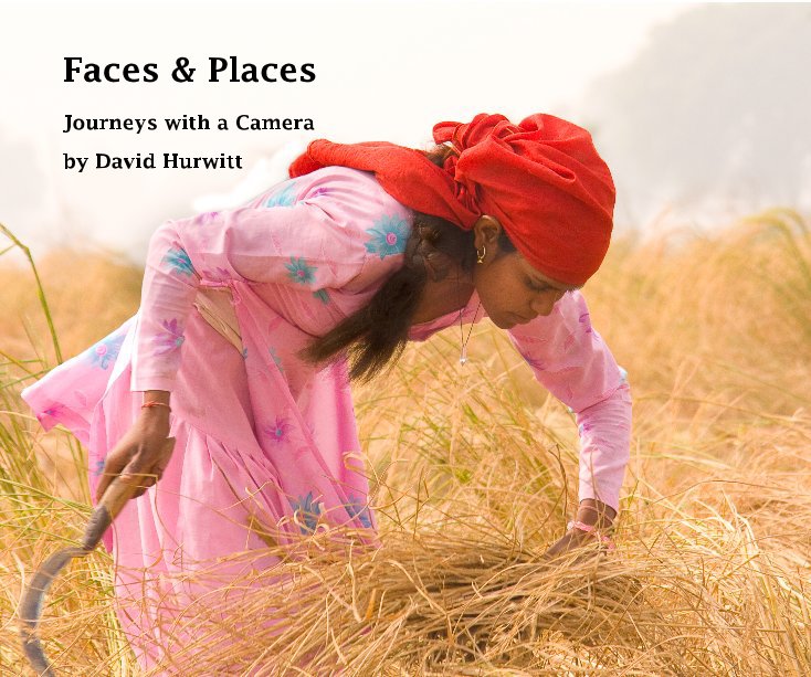 View Faces & Places by David Hurwitt