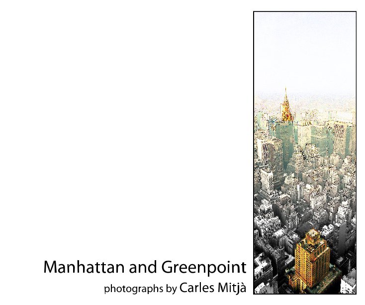 View Manhattan and Greenpoint by Carles Mitja