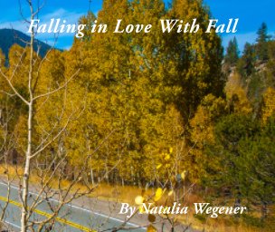 Falling in Love With Fall book cover