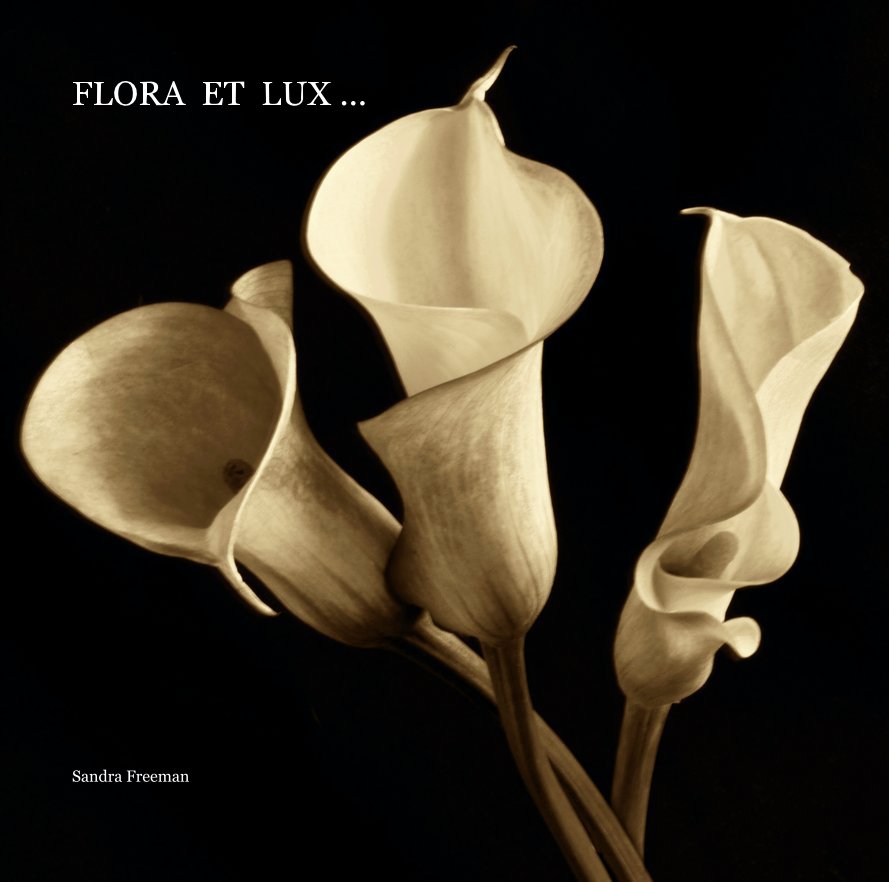 View FLORA ET LUX ... by Sandra Freeman