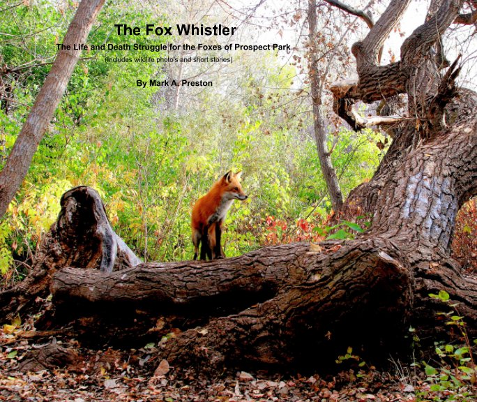 View The Fox Whistler by Mark Preston