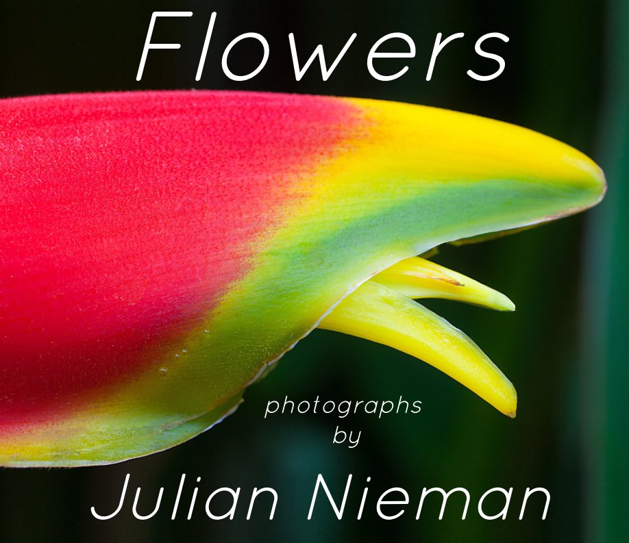 View Flowers by Julian Nieman