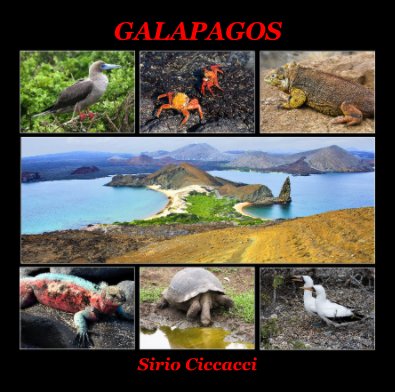 GALAPAGOS book cover