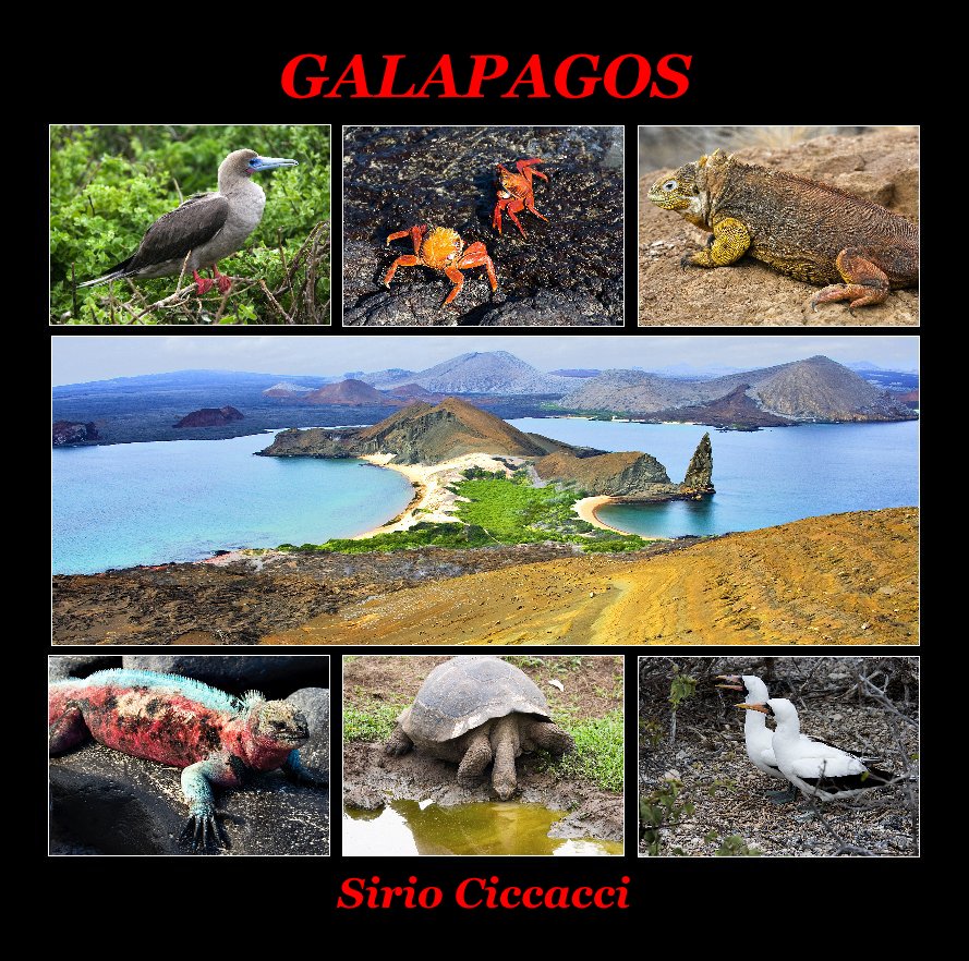 View GALAPAGOS by Sirio Ciccacci