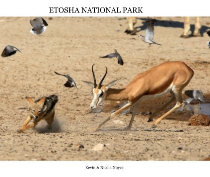 ETOSHA NATIONAL PARK book cover