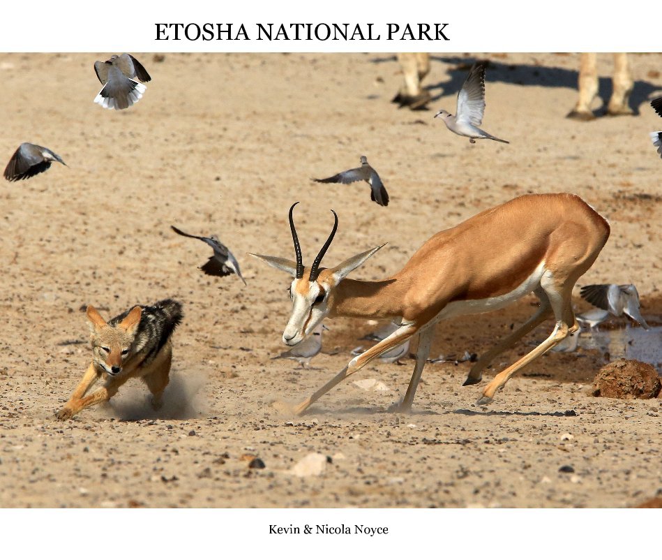 Visualizza ETOSHA NATIONAL PARK di Kevin & Nicola Noyce