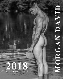 CALENDRIER 2018 MORGAN DAVID book cover