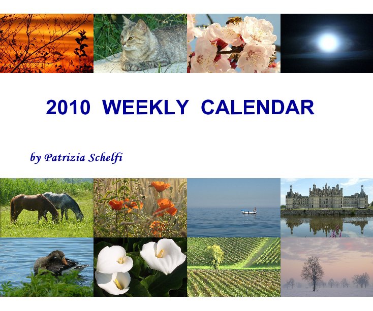 View 2010 WEEKLY CALENDAR by Patrizia Schelfi
