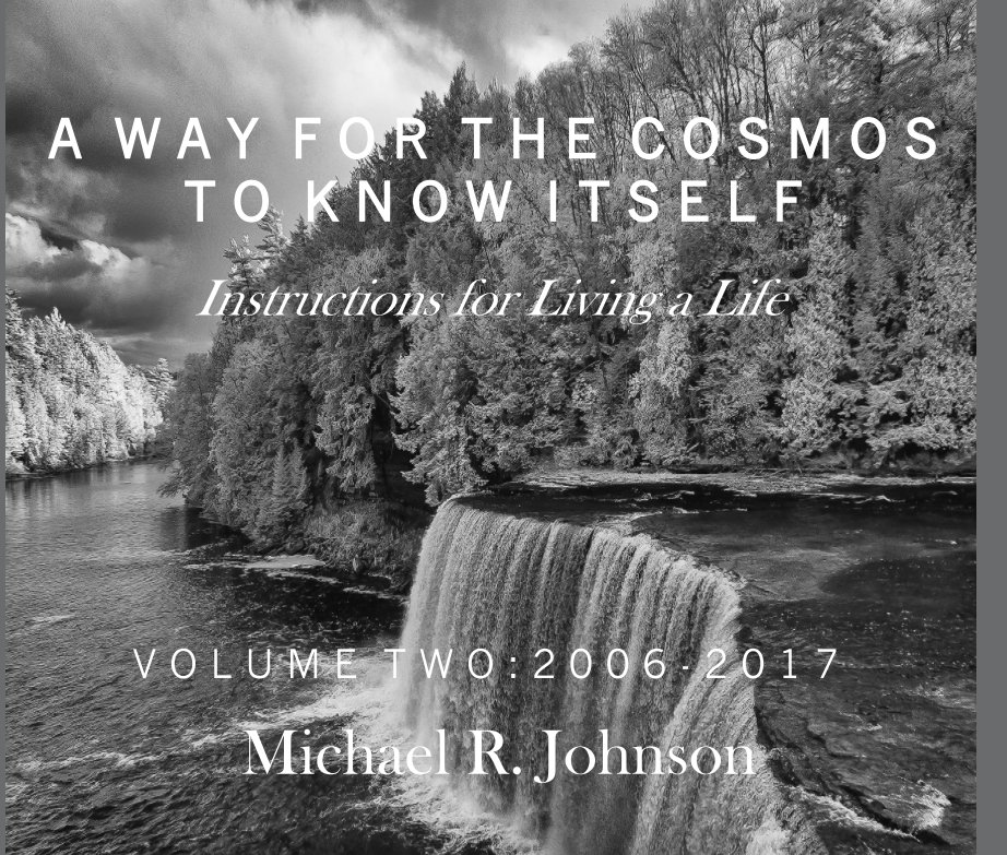 A Way for the Cosmos to Know Itself: Volume 2 nach Michael R. Johnson anzeigen