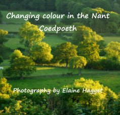 Changing colour in the Nant Coedpoeth Photography by Elaine Hagget book cover