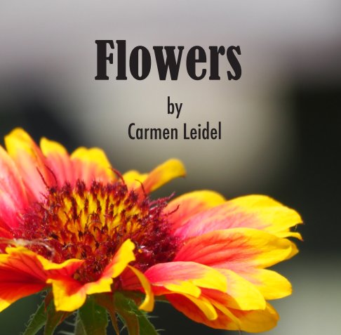 View Flowers by Carmen Leidel