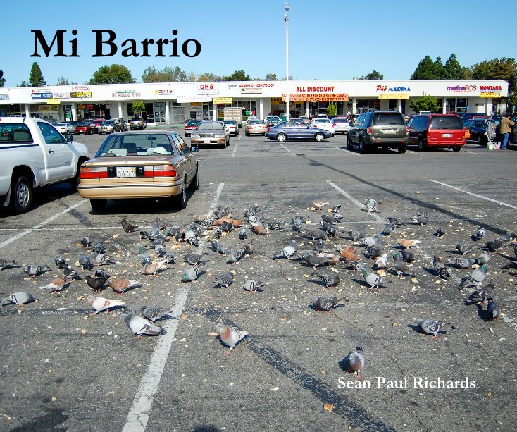 View Mi Barrio by Sean Paul Richards