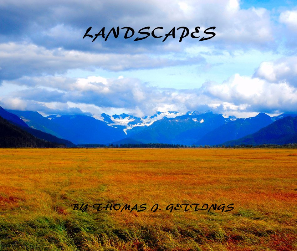 Ver LANDSCAPES por THOMAS J. GETTINGS