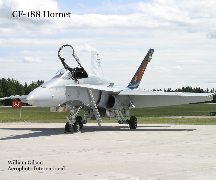 View CF-188 Hornet by William Gilson Aerophoto International