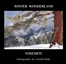 Winter Wonderland Yosemite book cover