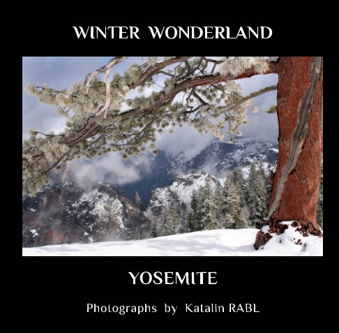 View Winter Wonderland Yosemite by Katalin RABL