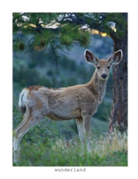 Mule Deer Big Ears book cover