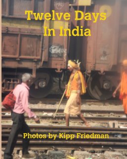 Twelve Days  In India book cover