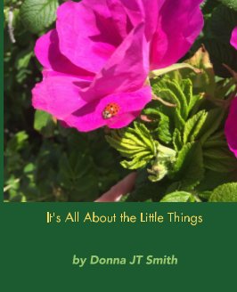 It's All About the Little Things book cover