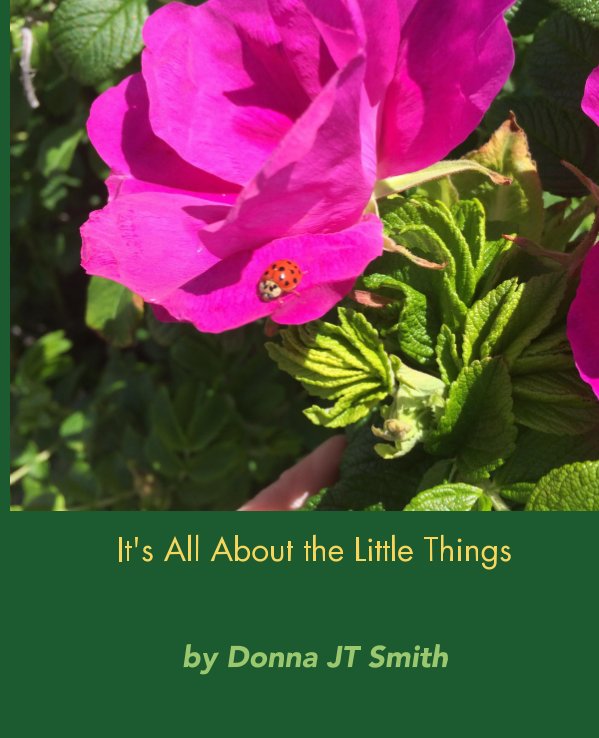 View It's All About the Little Things by Donna JT Smith